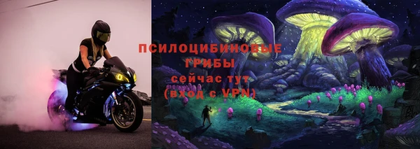 трава Алексин