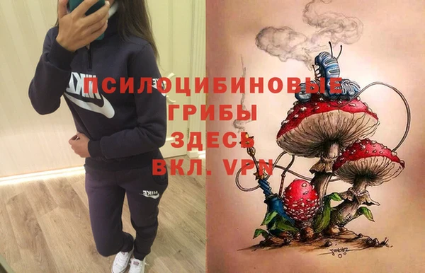 трава Алексин