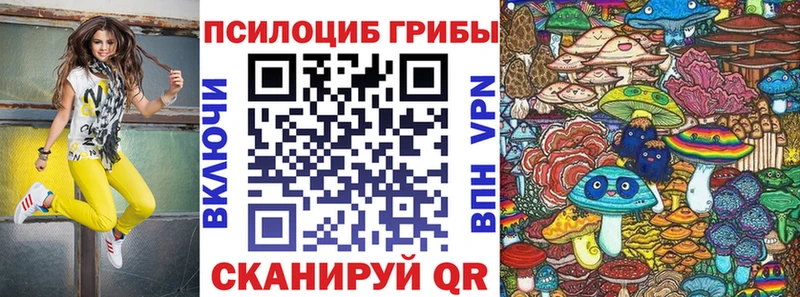 Псилоцибиновые грибы мицелий  где можно купить   Злынка 