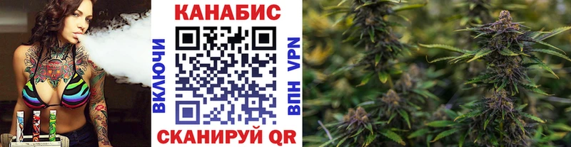 где можно купить   Злынка  МАРИХУАНА VHQ 